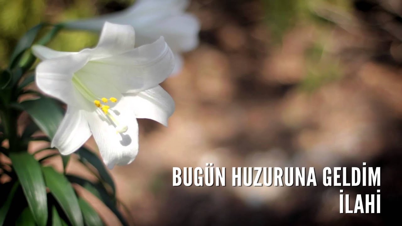 Müziksiz İlahiler - Bugün Huzuruna Geldim