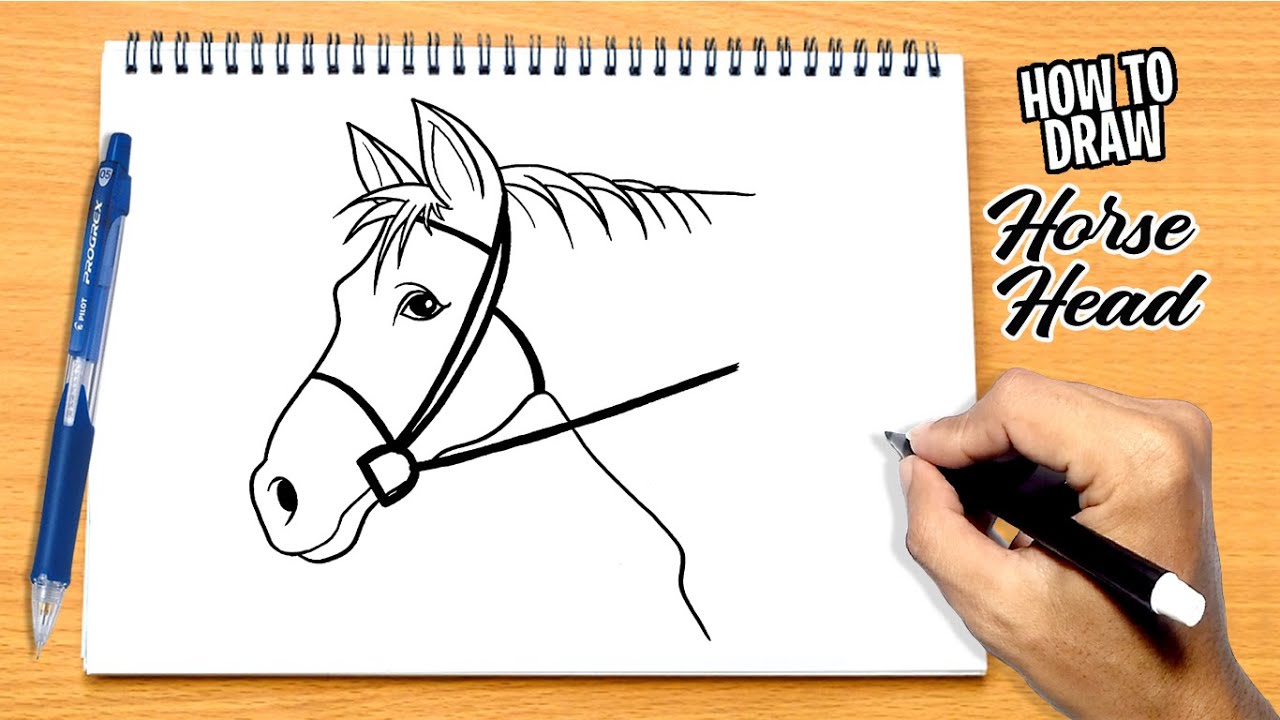 How to draw Horse Head
