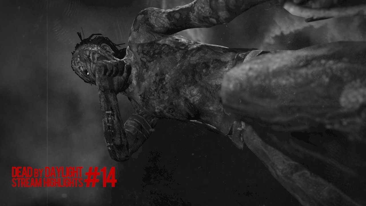 Dead by Daylight | Stream Highlights #14 