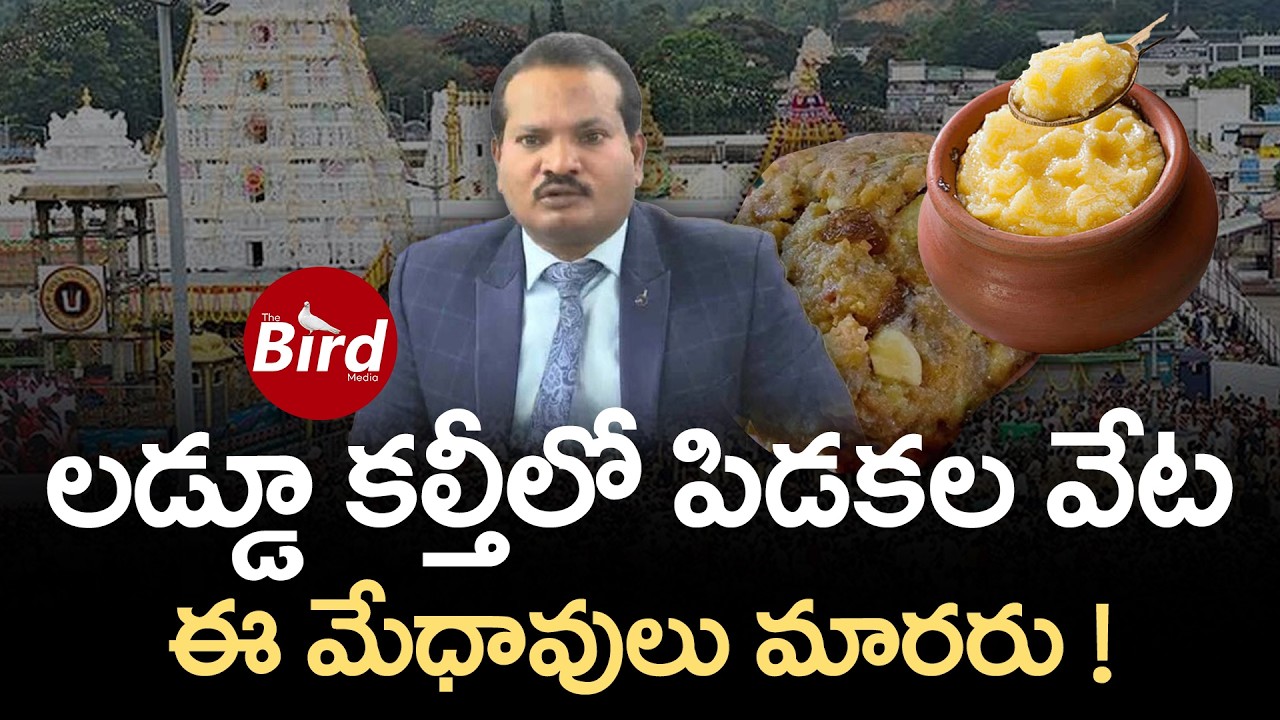 లడ్డూ కల్తీలో పిడకల వేట..ఈ మేధావులు మారరు ! | Jada Sravan Kumar On TTD laddu Ghee Adulteration |