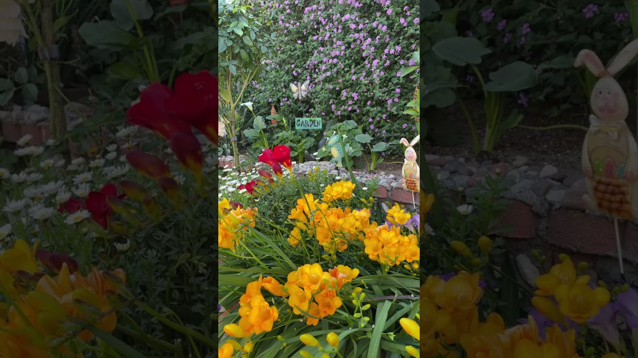 Natures Beauty/Calming/Birds Singing/Garden Scenes