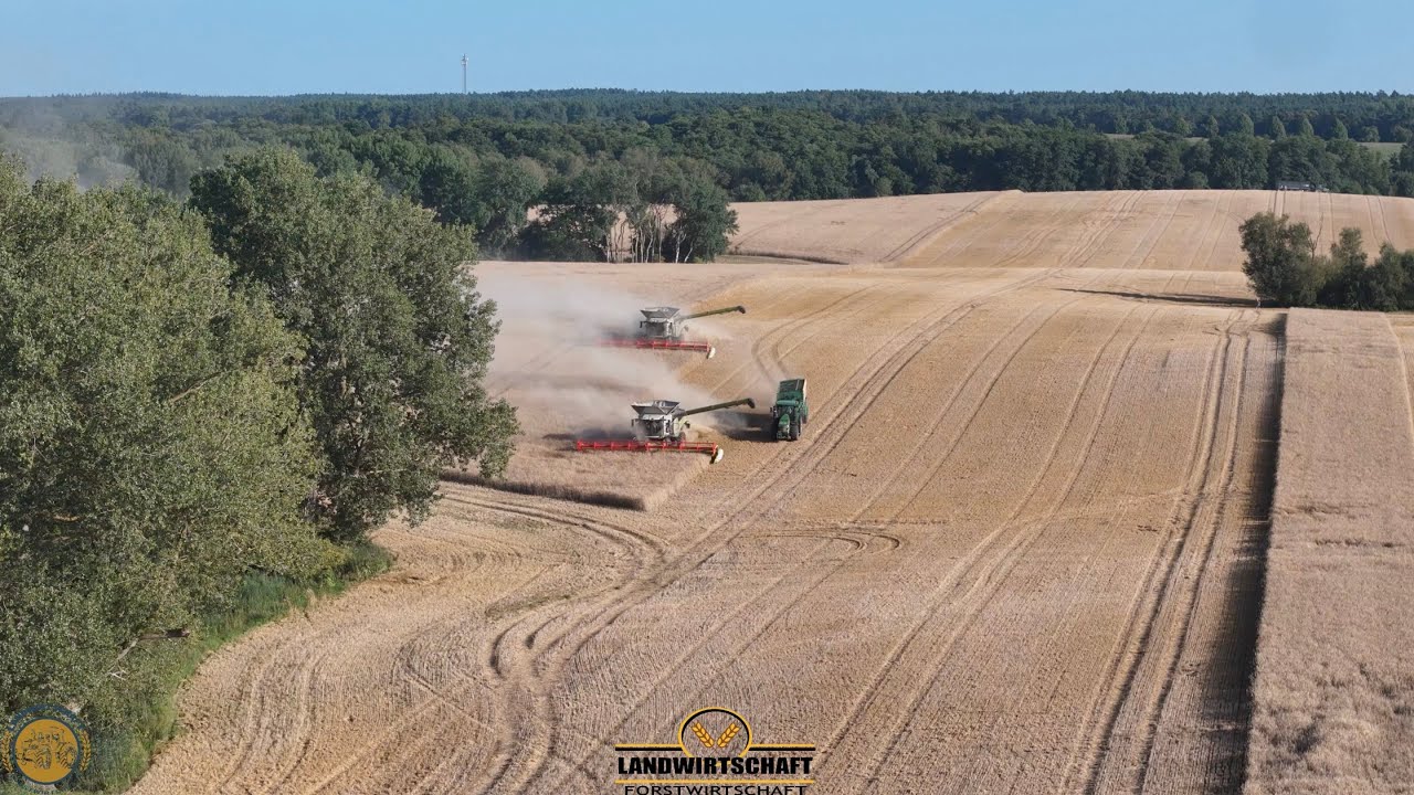 KRASSE ERNTE! Zwei Claas Lexion 8800 machen die erste Fläche in 60 Minuten platt! Roggen Dreschen 