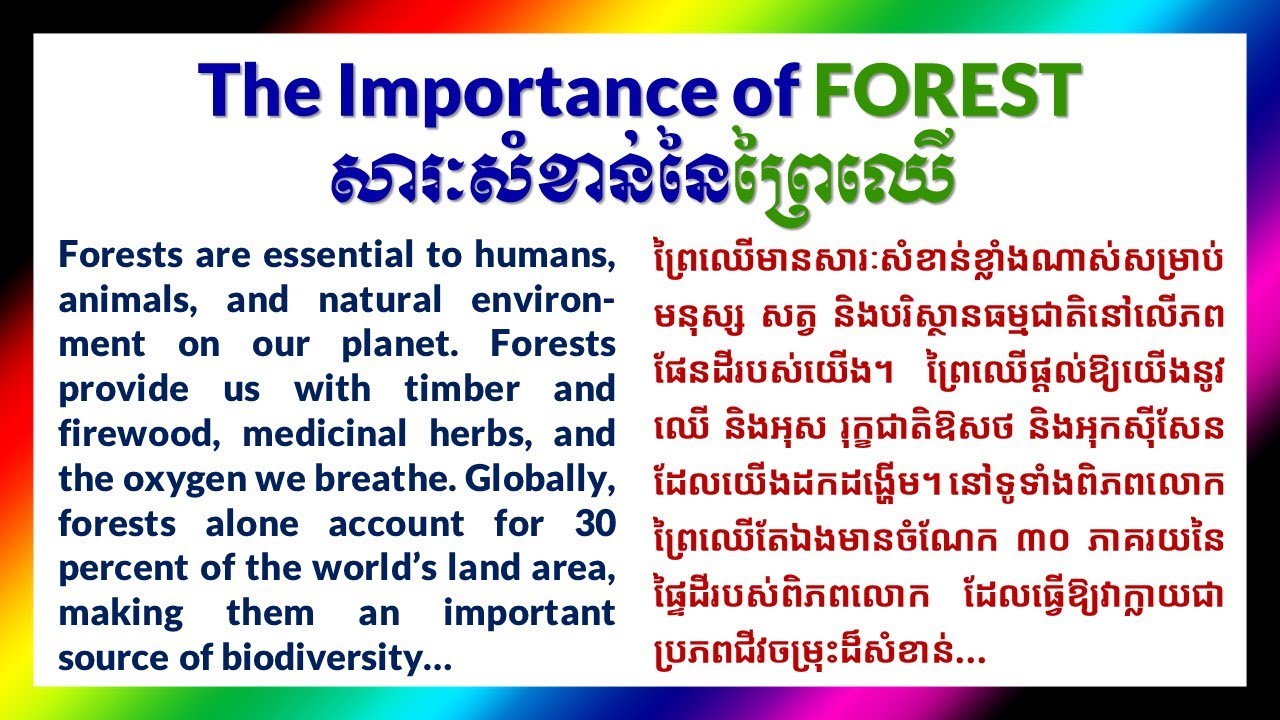 English Essay - តែងសេចក្ដីអង់គ្លេស | The Importance of FOREST | Vocabulary and Listening Practice