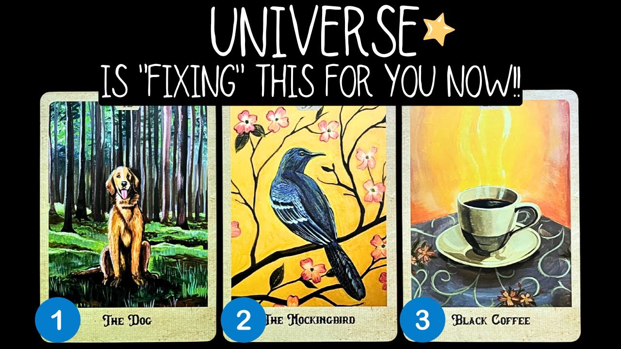 The ONE Thing Universe Is Trying To 