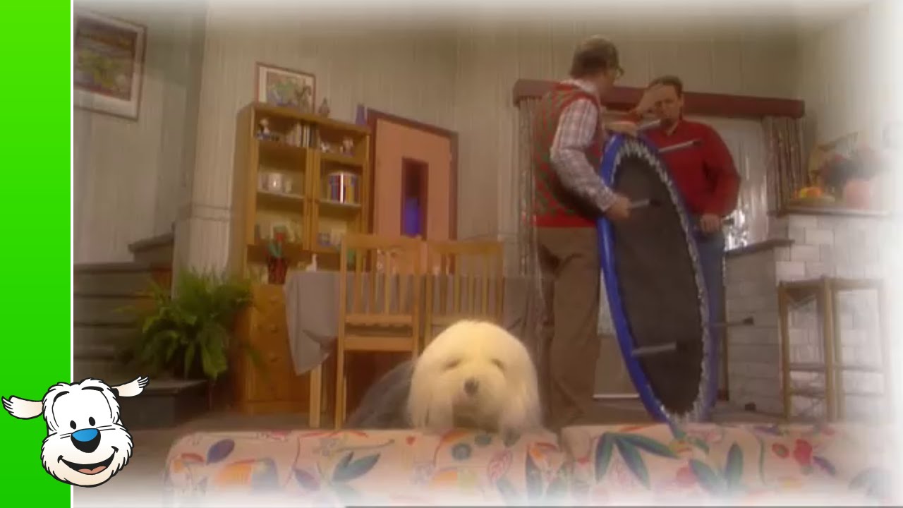 Samson & Gert - De trampoline