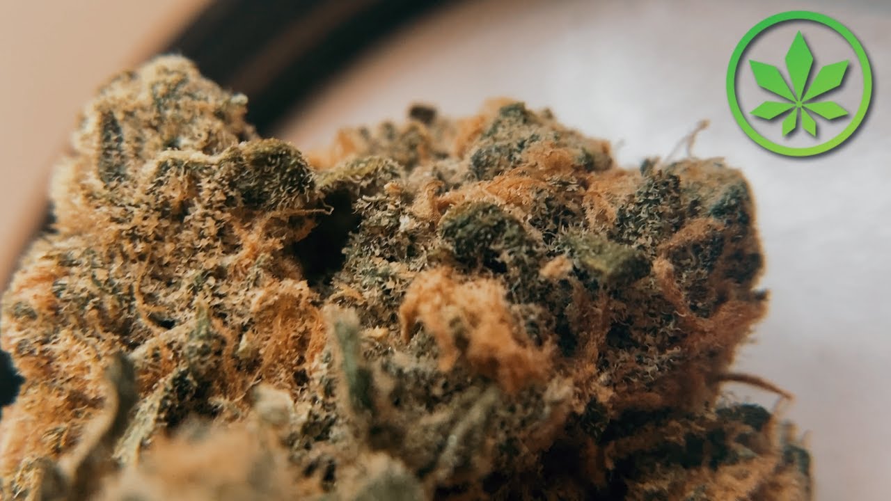 A Better Dispensary's Blue Dream THCa Flower!
