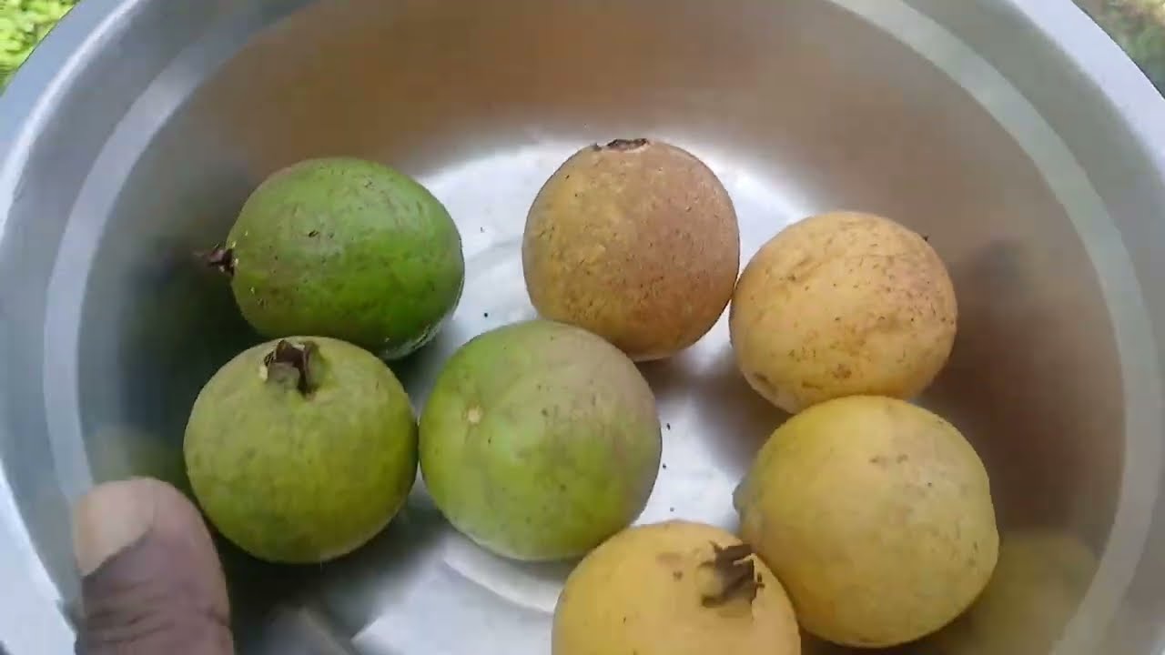 Making my own guava jam or guava jelly.