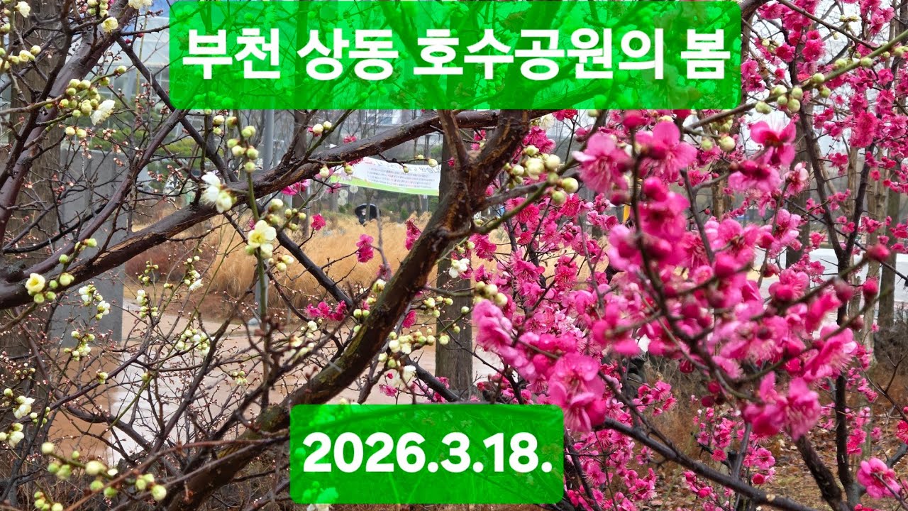 부천 상동 호수공원,  수피아 식물원(2026.3.18)