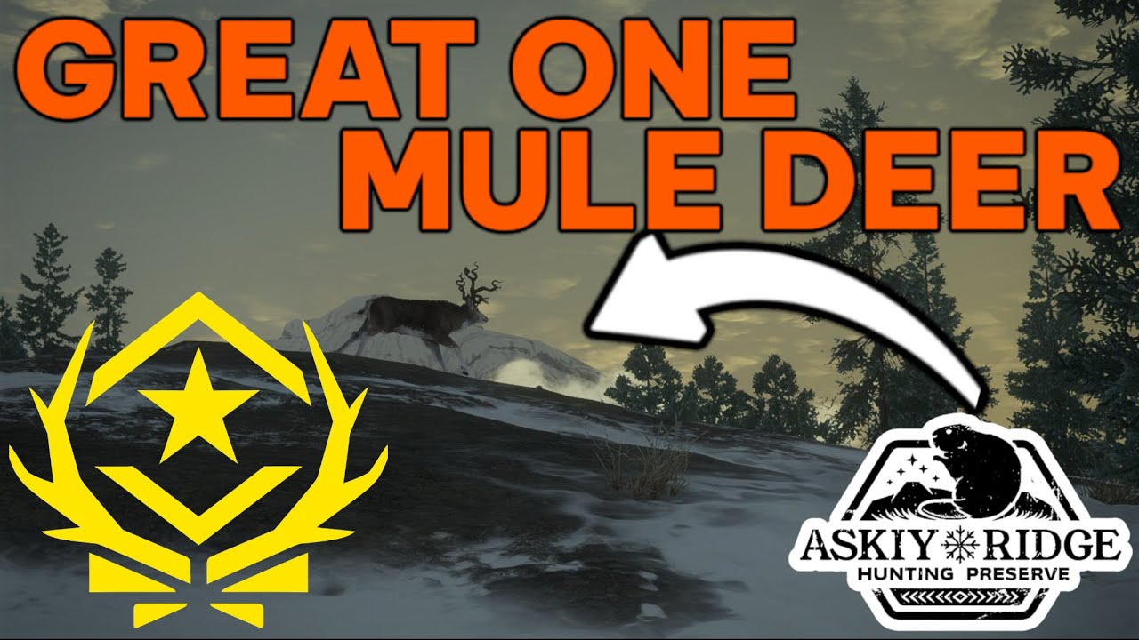 Bow Killing a GREAT ONE Mule Deer! the Hunter: Call of the Wild!