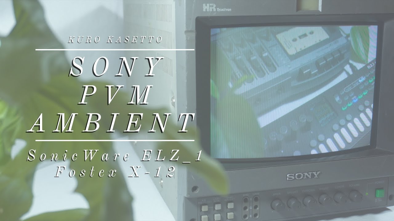 Sony PVM Ambient - SonicWare ELZ_1 Play/ Fostex X-12