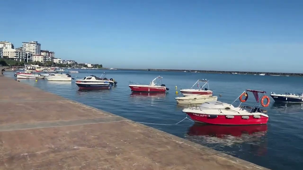 Yat Limanında Gezinti