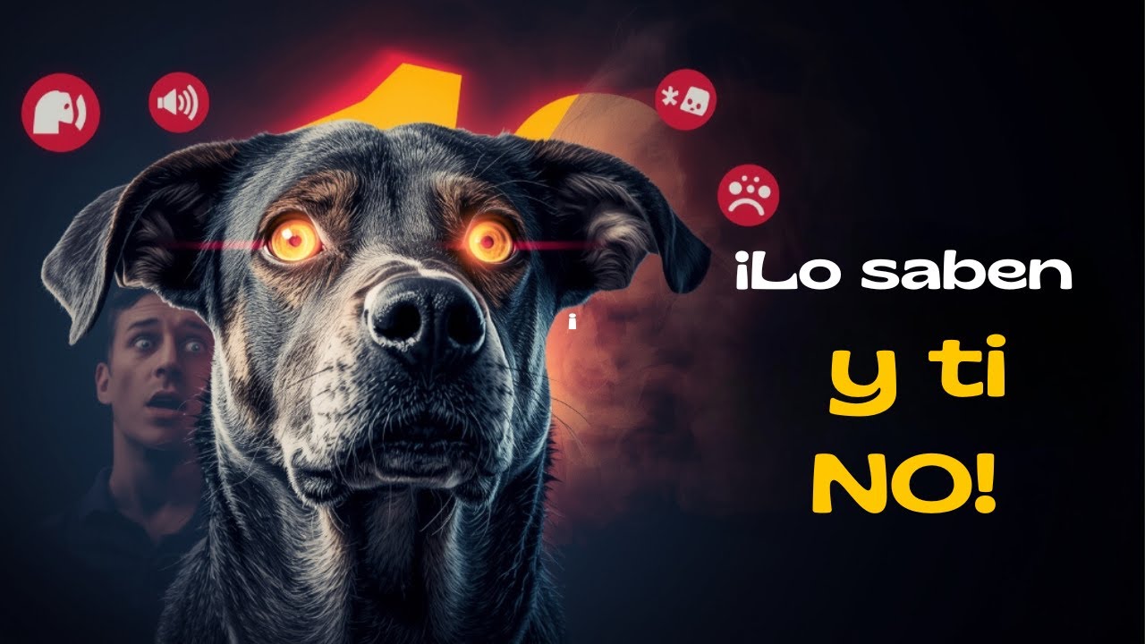😱 10 Cosas Que Tus Perros Saben y Tú Ignoras