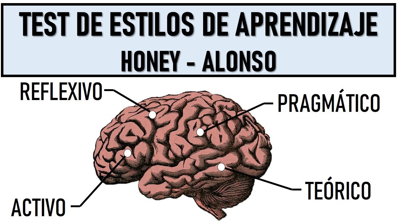 Test de Estilos de Aprendizaje - Honey Alonso (Links en la Descripción) | Pedagogía MX