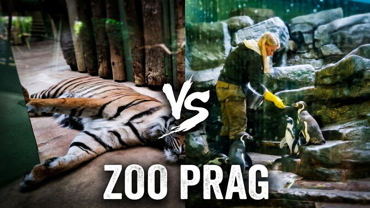 Zoo Prag