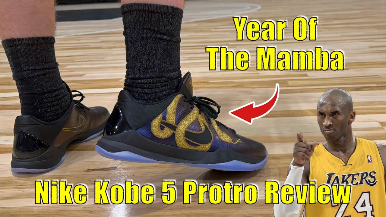 Обзор баклажана Kobe 5 «Год Мамбы»
