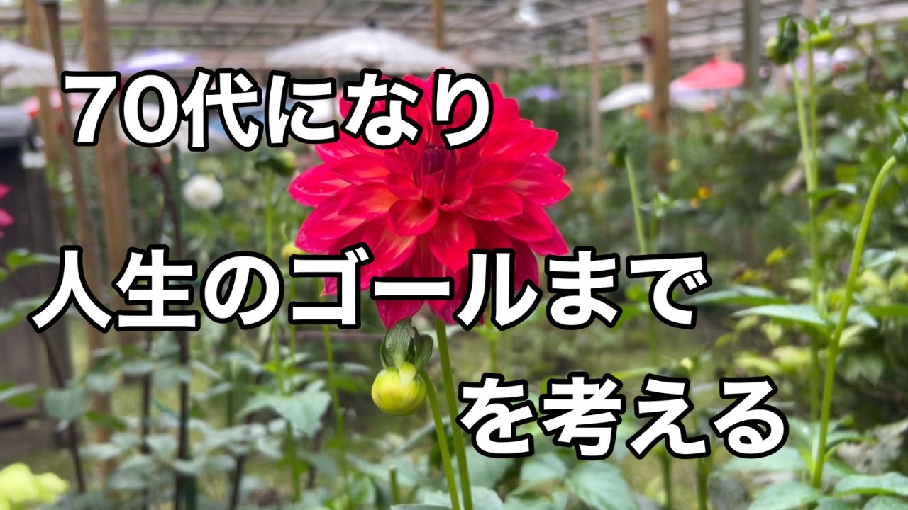 【70代の日常】70代になって身体の変調を経験して見えてきた景色。「なりたい自分」になること、やるべきことが沢山あり忙しいです。