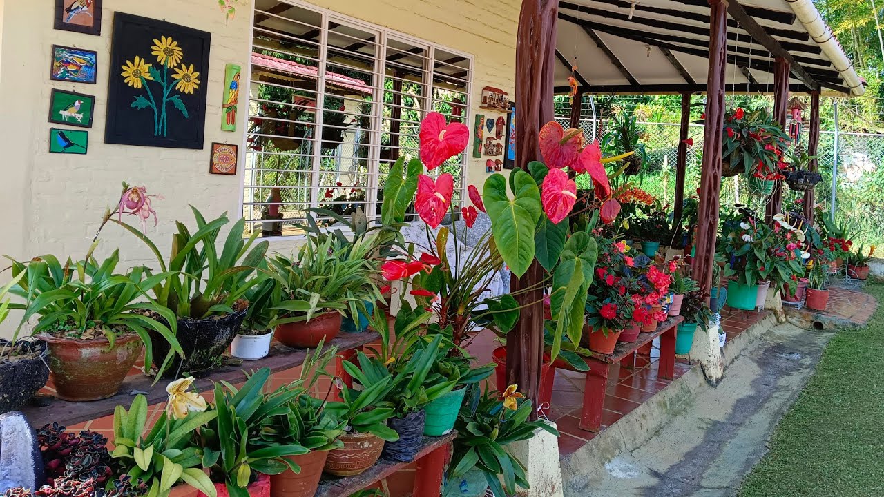 El jardín de Fani .