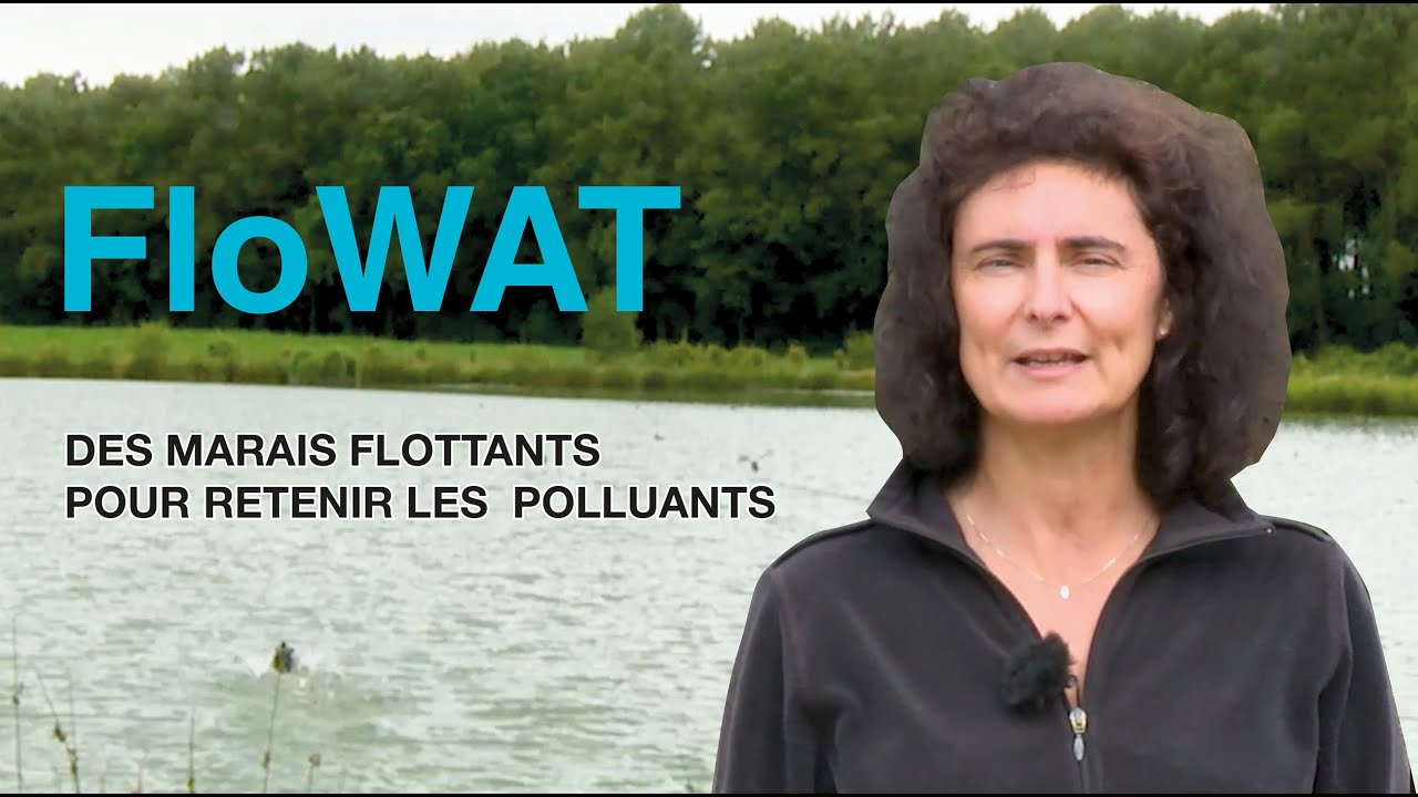Améliorer la performance de traitement des marais flottants - FloWAT