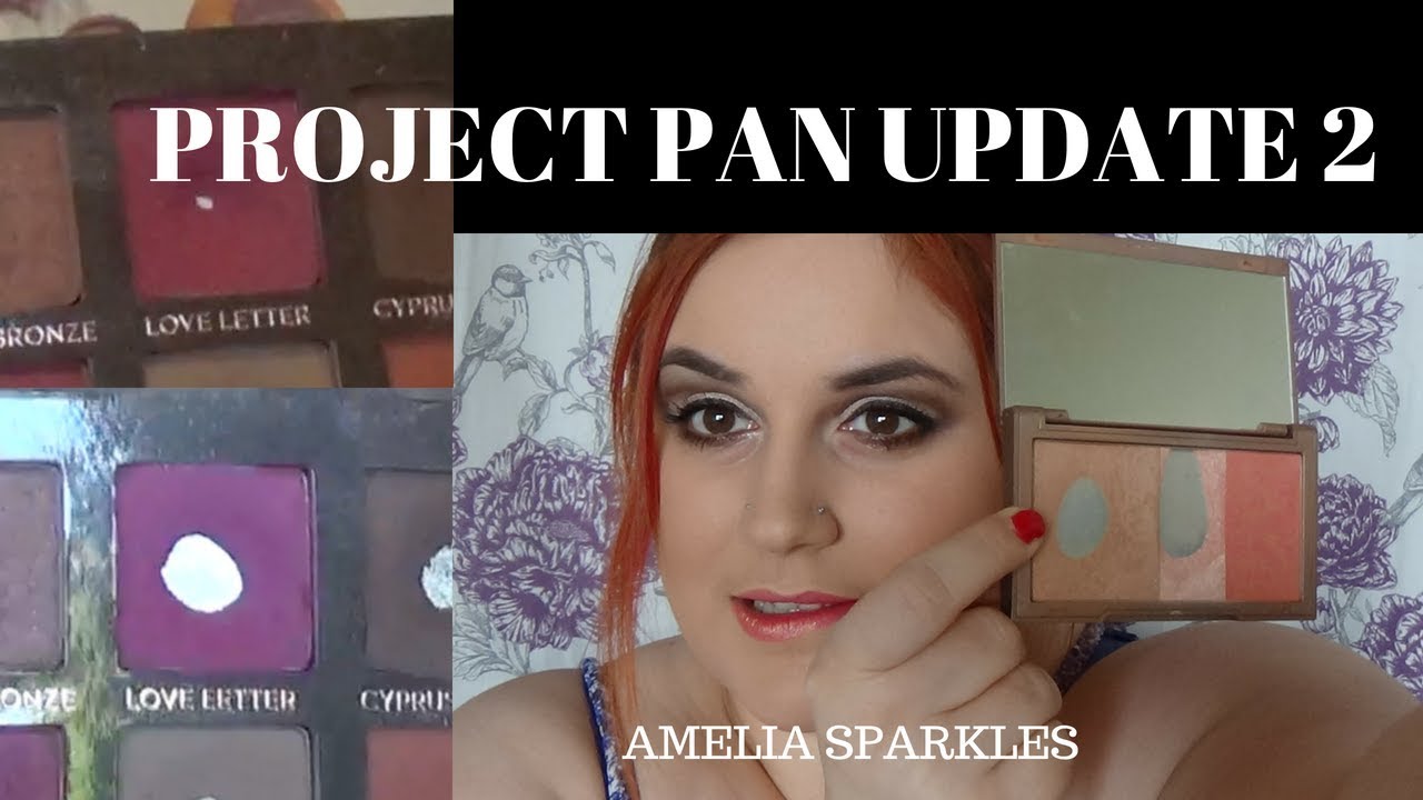 💄Use up 18 in 2018 - Project Pan Update 3💄
