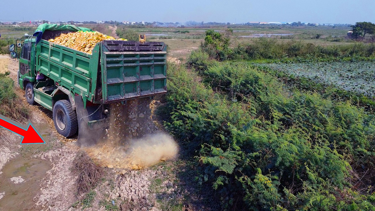 Nicely Start New Landfill!! Very Good Teams Work Dump Truck 5 Ton And Dozers in Actions!