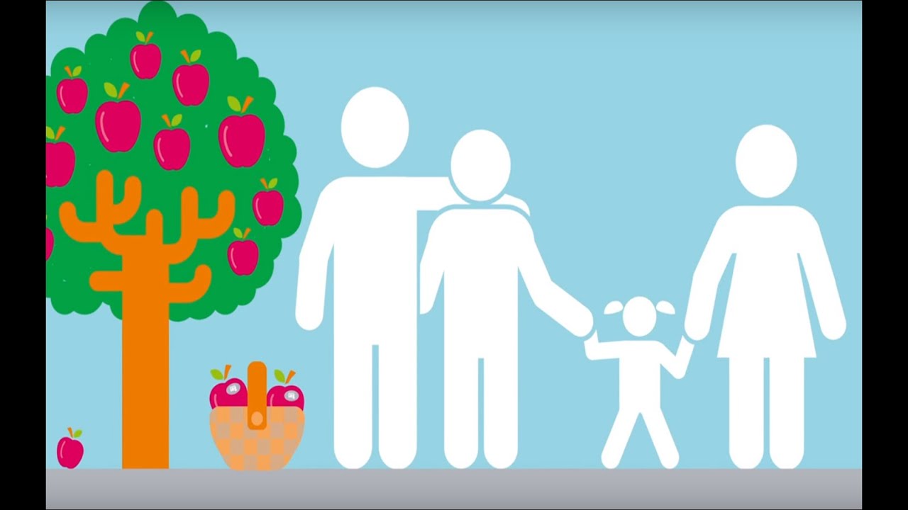Childhood Obesity: The impact of nutrition on health