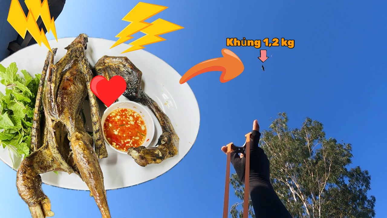 Singshot M72 - Hạ Hàng Khủng Bay 1,2 kg Làm Món Nướng Thùng Siêu Ngon || Flying Bird's Slingshot