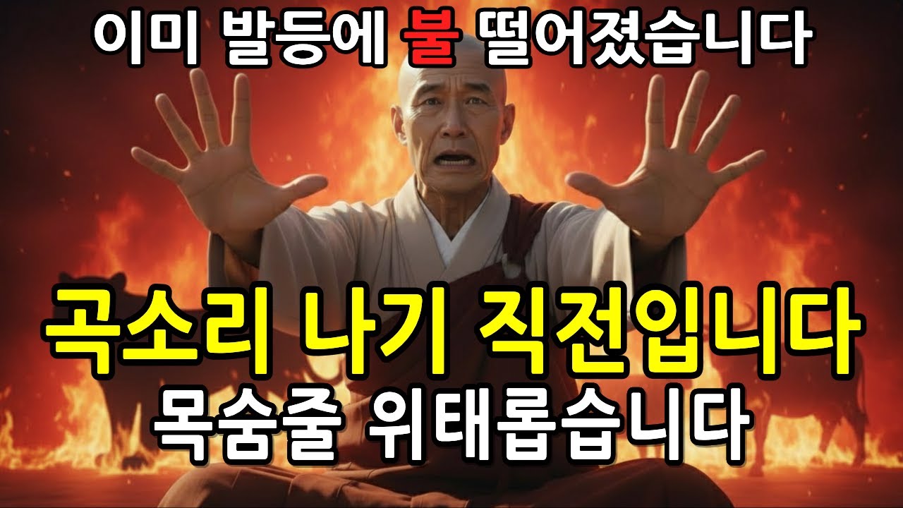 2026년 상복 입을 띠 3가지, 죽을 고비 넘기려면 당장 움직이세요 (병오년 설날 전 마지막 경보)