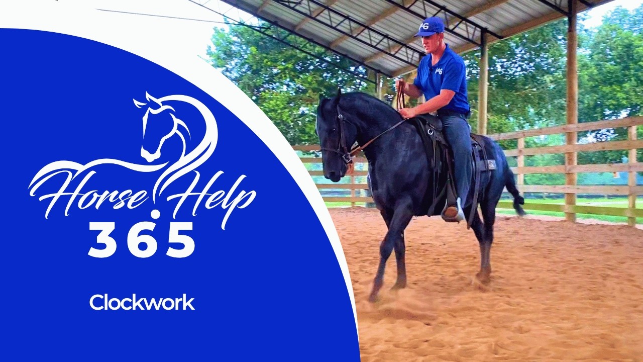 Clockwork | Horse Help - Michael Gascon
