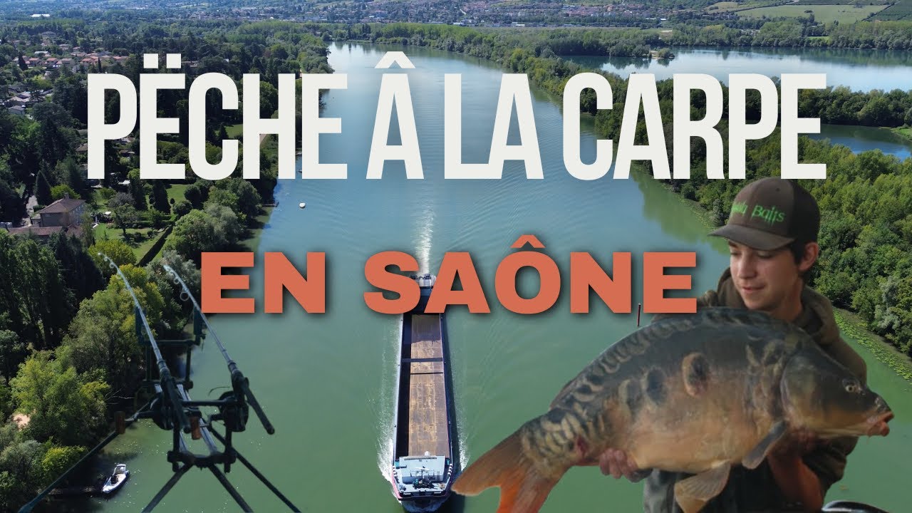 Carpes capricieuses en Saône – 3 jours de galère au bord de l’eau (pêche â la carpe en rivière)