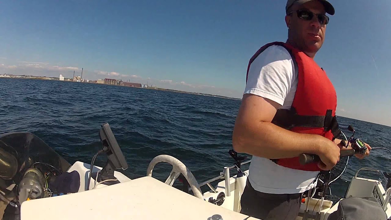 en dag på Öresund 1 i en ryds fc 435, mercury30