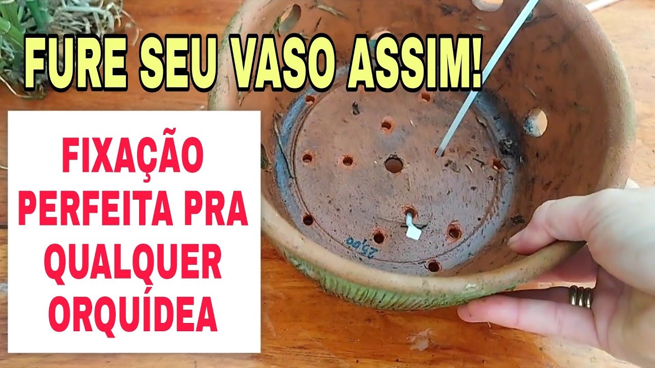 IDÉIA PRA ORQUÍDEA EM VASO DE CERÂMICA. Fica incrível FAÇA!!!!