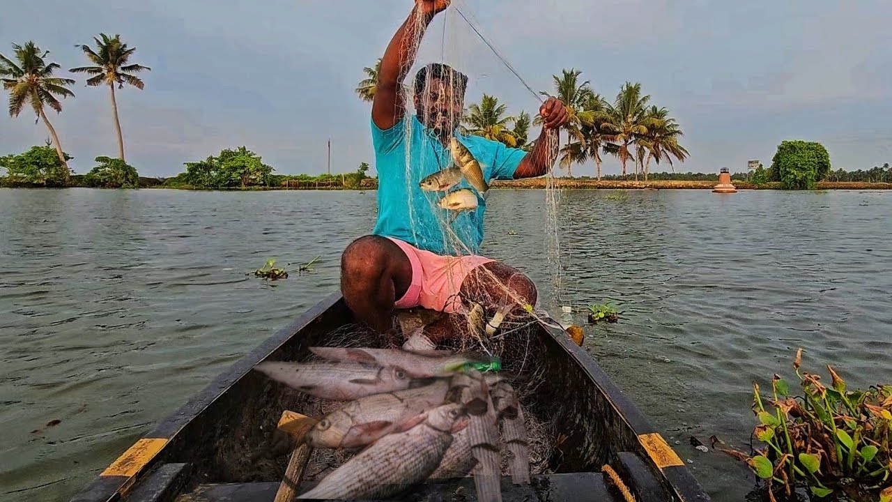 വേലിയേറ്റത്തിന്  30മീറ്റർ വല ഒഴുക്കി പിടിച്ച മീൻ|Earth Lovers Media|Real life vlog