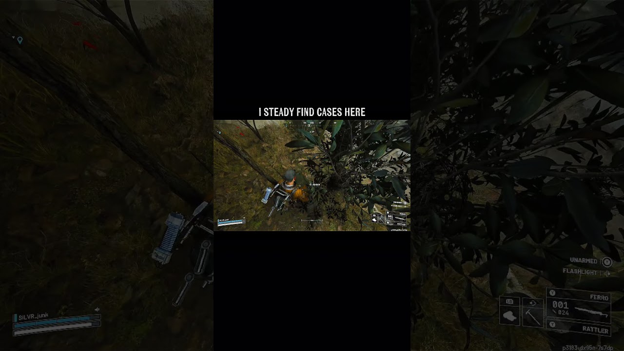 No man's land between the control tower and power Gen complex