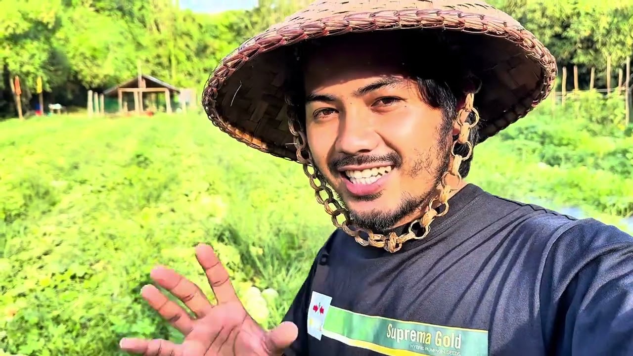 Melon Farming in the Philippines, Emerald Green Known you seeds, first harvest
