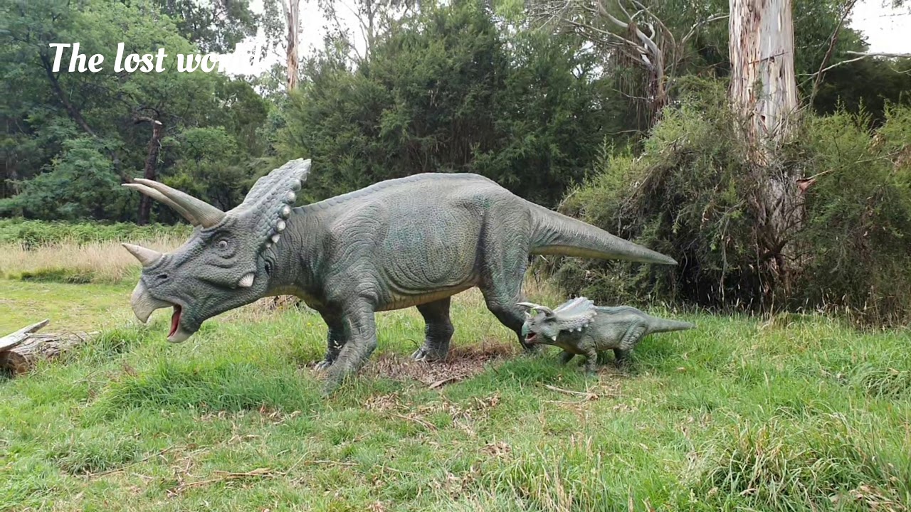 Neil's visit to Healesville Sanctuary  | Zoo | Melbourne