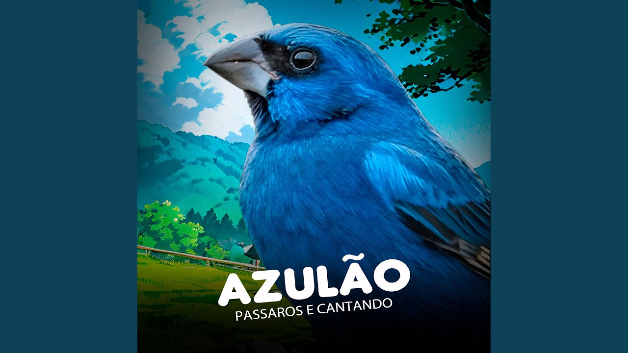 Azulão
