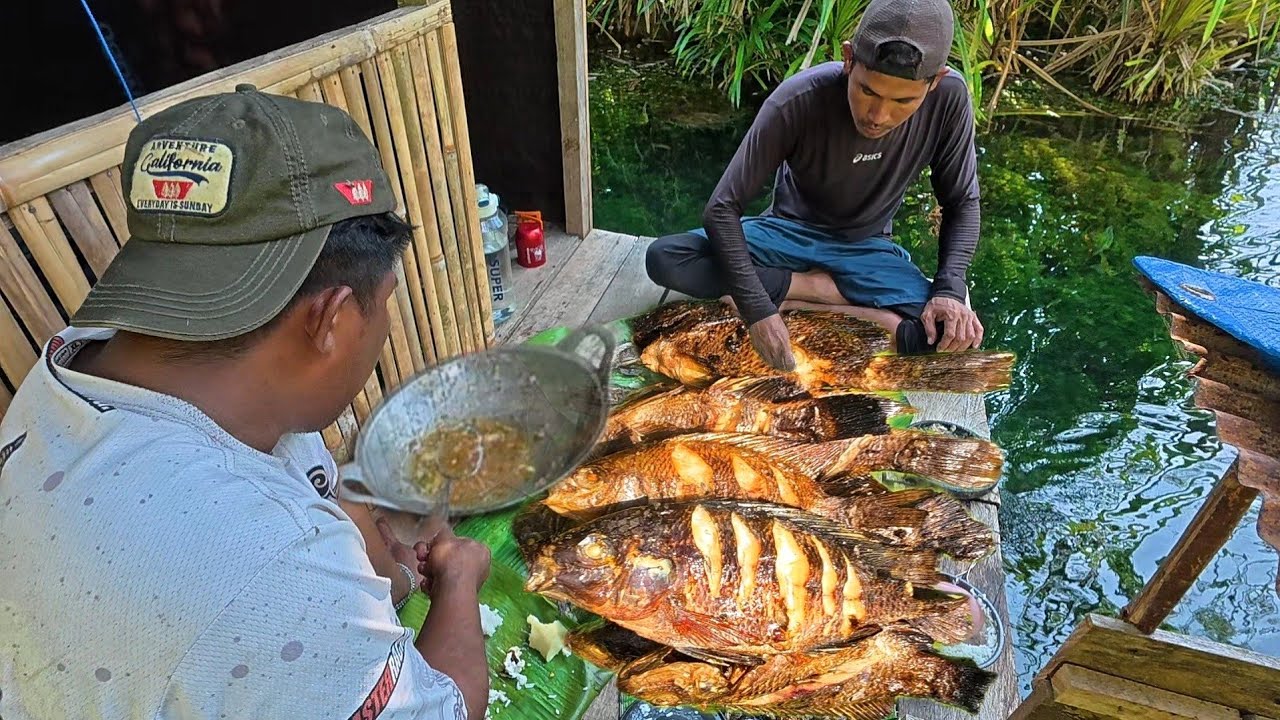 memasang perangkap dan menjaring ikan babon bersama sabcriber dari suluk