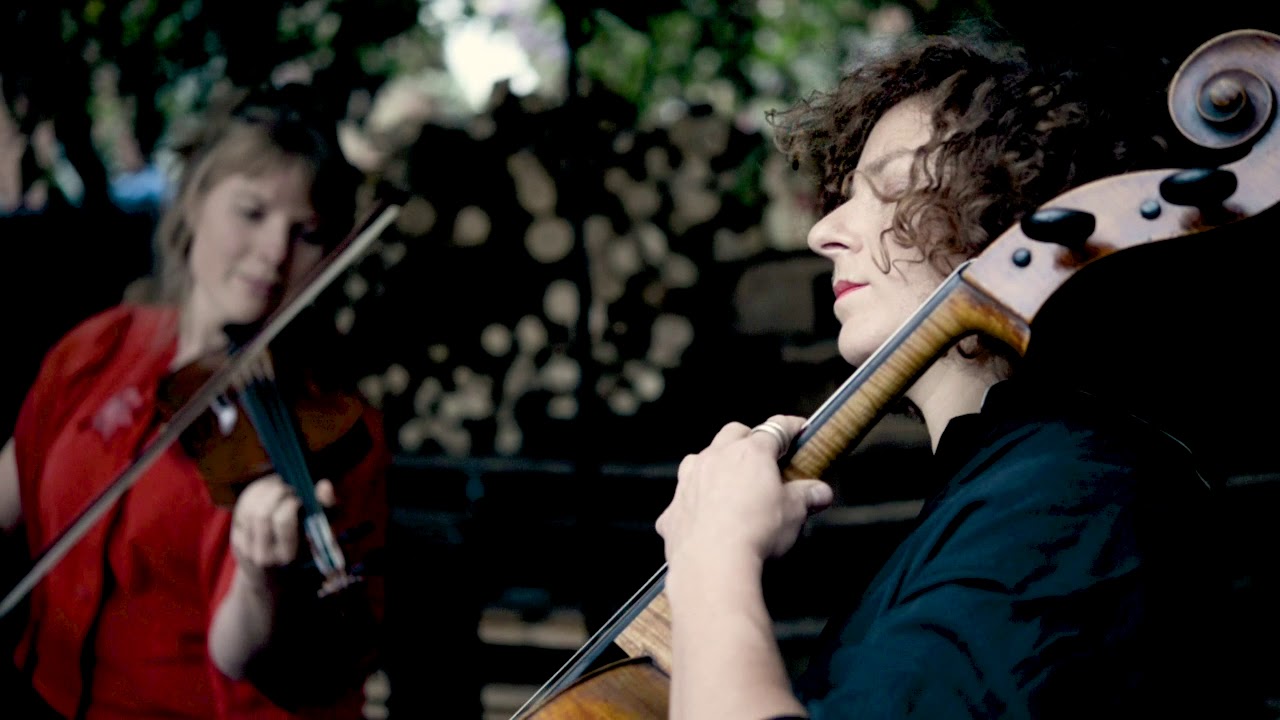 Fran & Flora - Stardust (Doina iii) | Woodburner