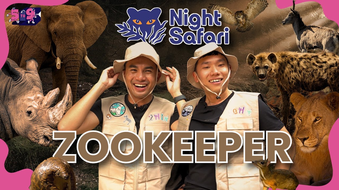 We Tried Working As Zookeepers At The Night Safari! | 5 To 9