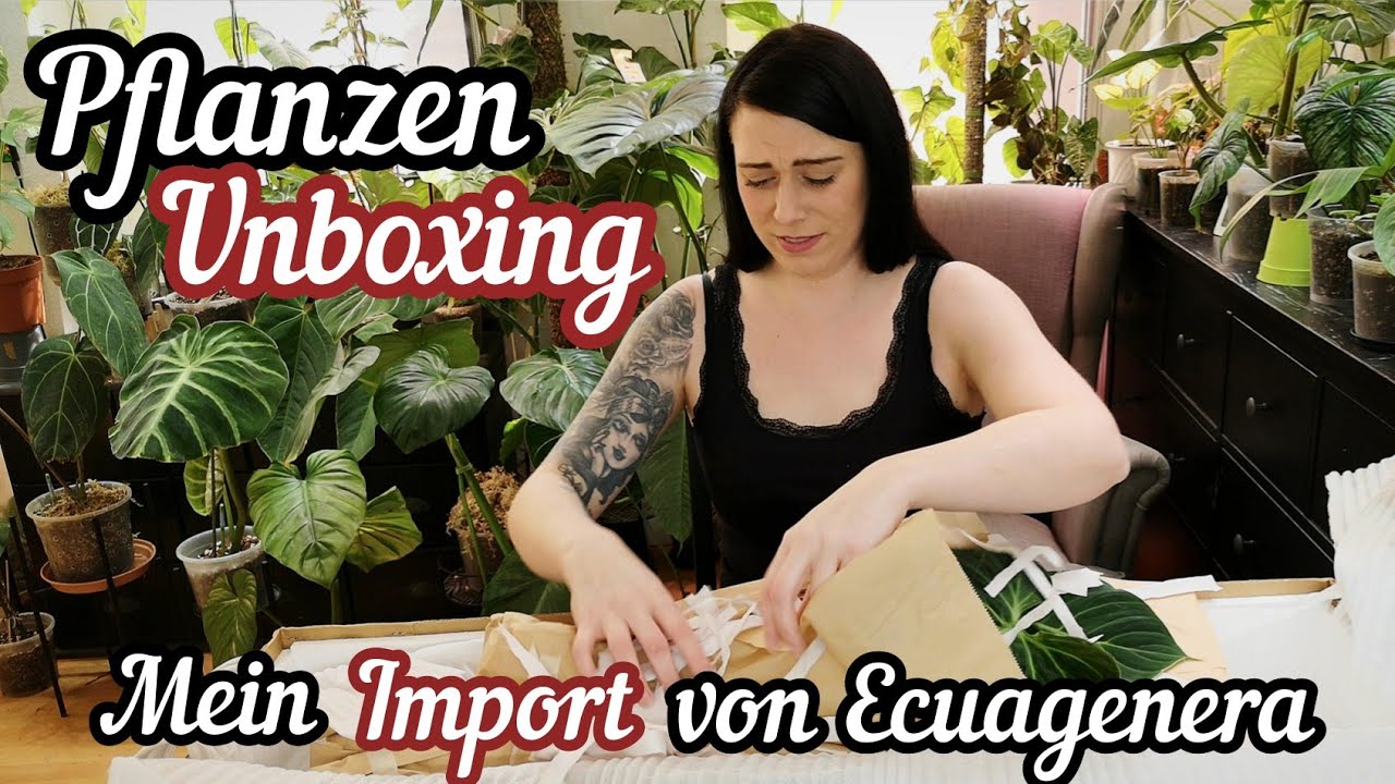 Pflanzen Unboxing | Mein Import von Ecuagenera