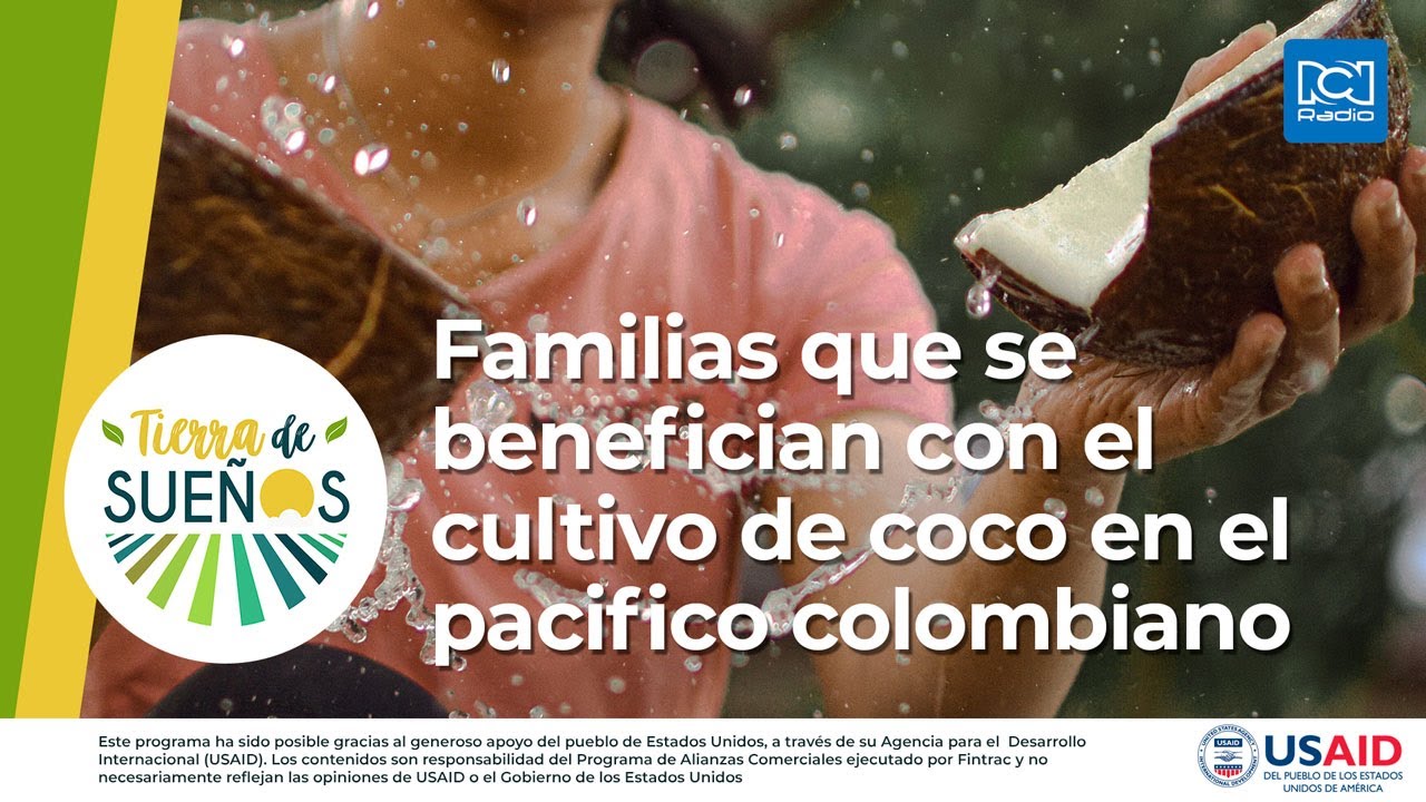 Familias que se benefician con el cultivo de coco en el pacifico colombiano