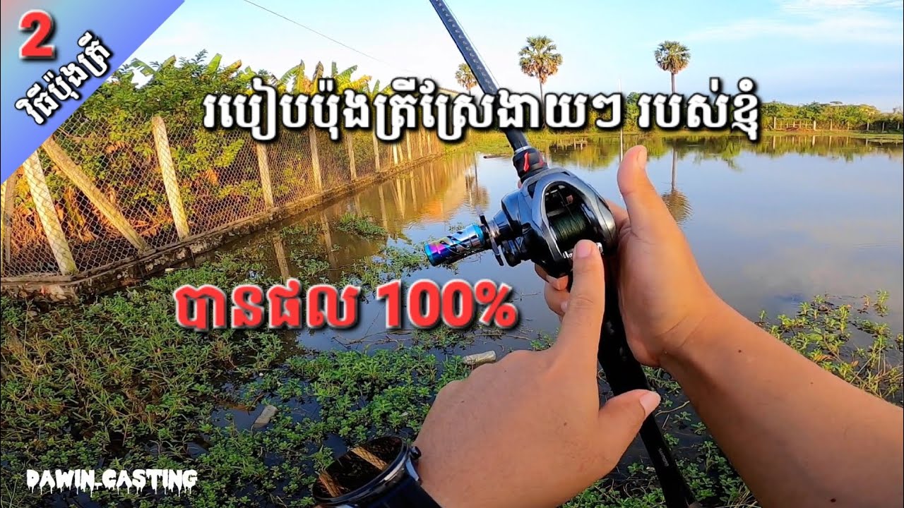 របៀបប៉ុងត្រី Ep002 វិធីប៉ុងត្រីស្រែងាយៗបានផល 100% | How to fishing snakehead fish.