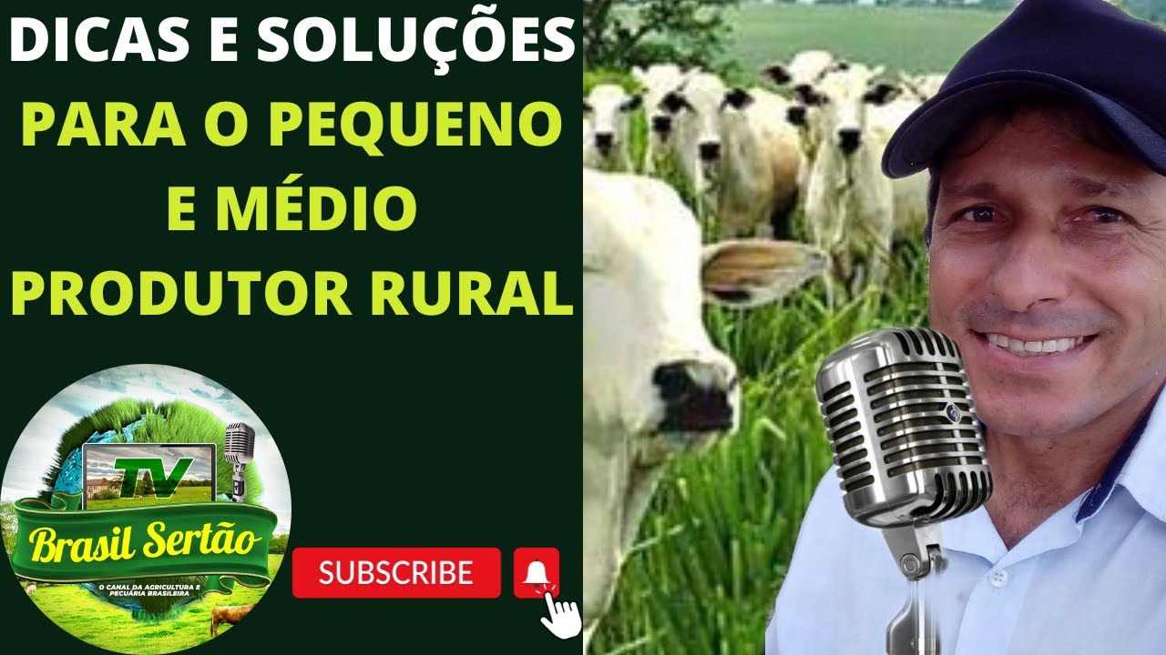 DICAS E SOLU&Ccedil;&Otilde;ES PARA O PEQUENO E M&Eacute;DIO PRODUTOR RURAL