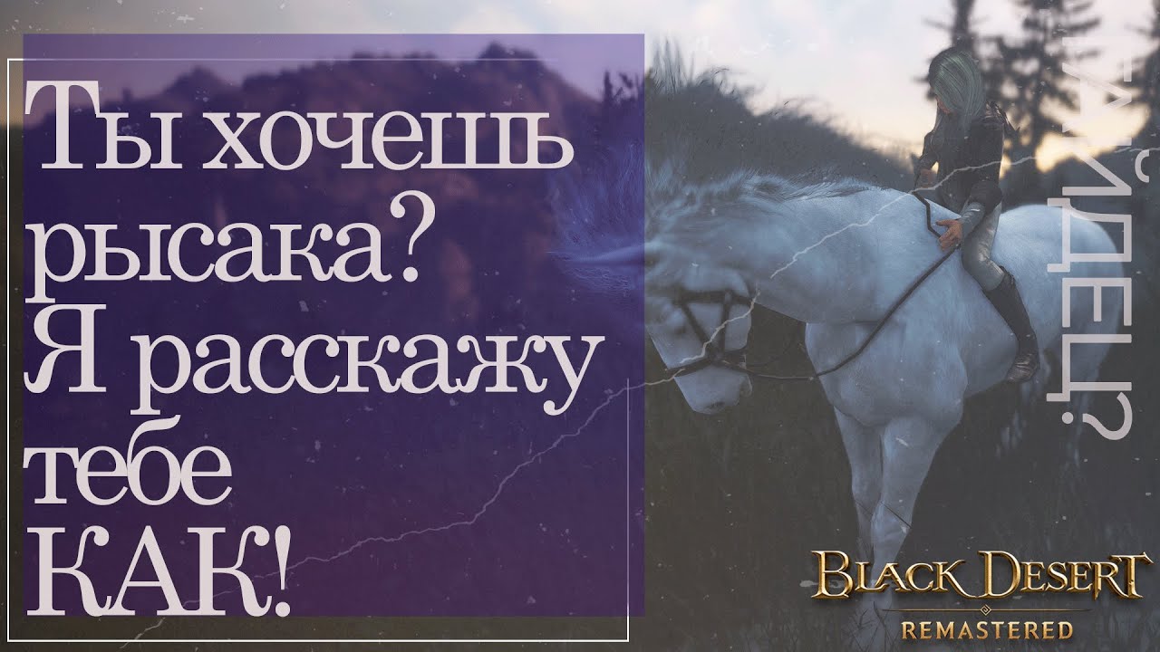 Как воспитать рысака в семье НЕ коневода? || ГАЙДЕЦ || Black Desert