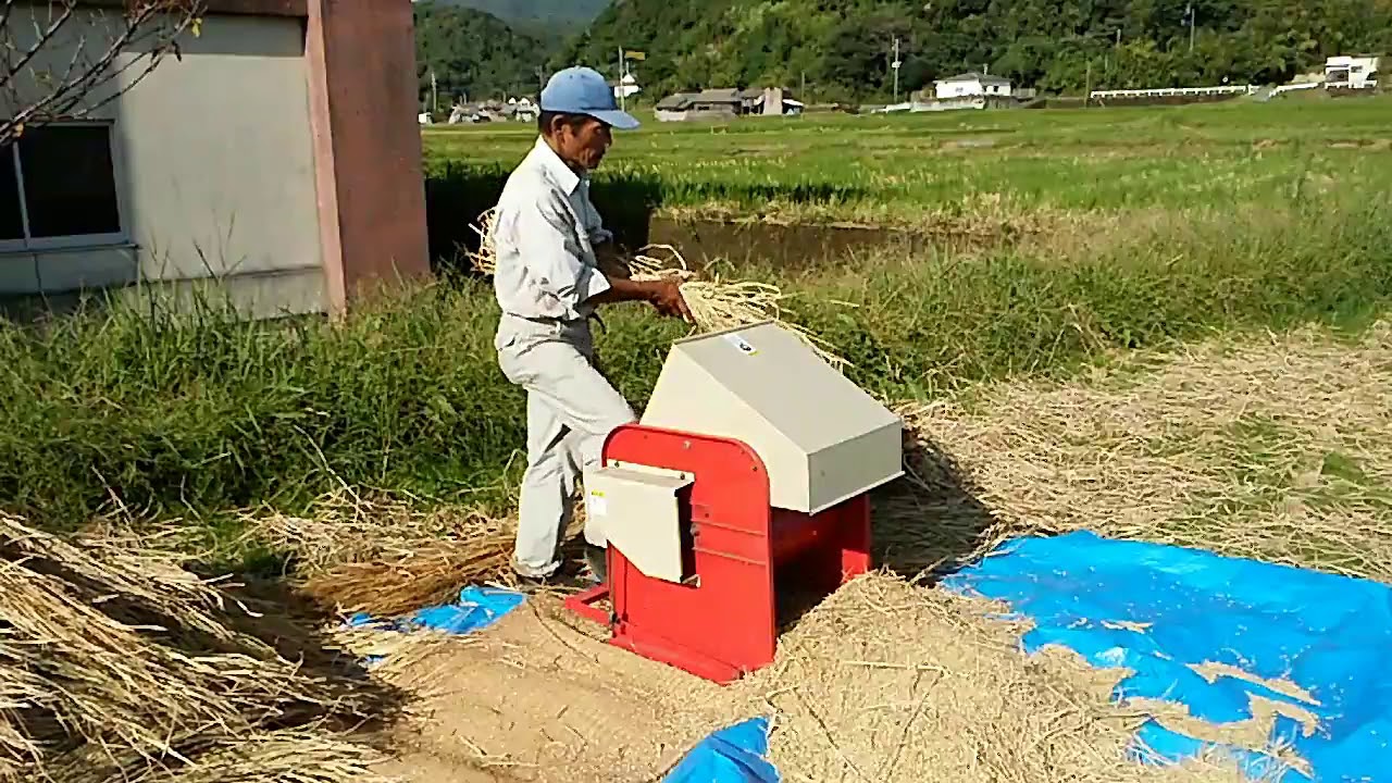 20191030足踏脱穀