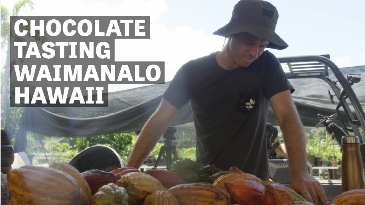 Chocolate Tasting | Waimanalo, Oahu | Craft Chocolate TV