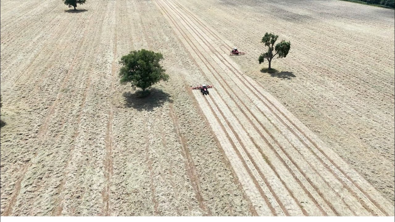 HAY HRVEST 2025 Soaring High