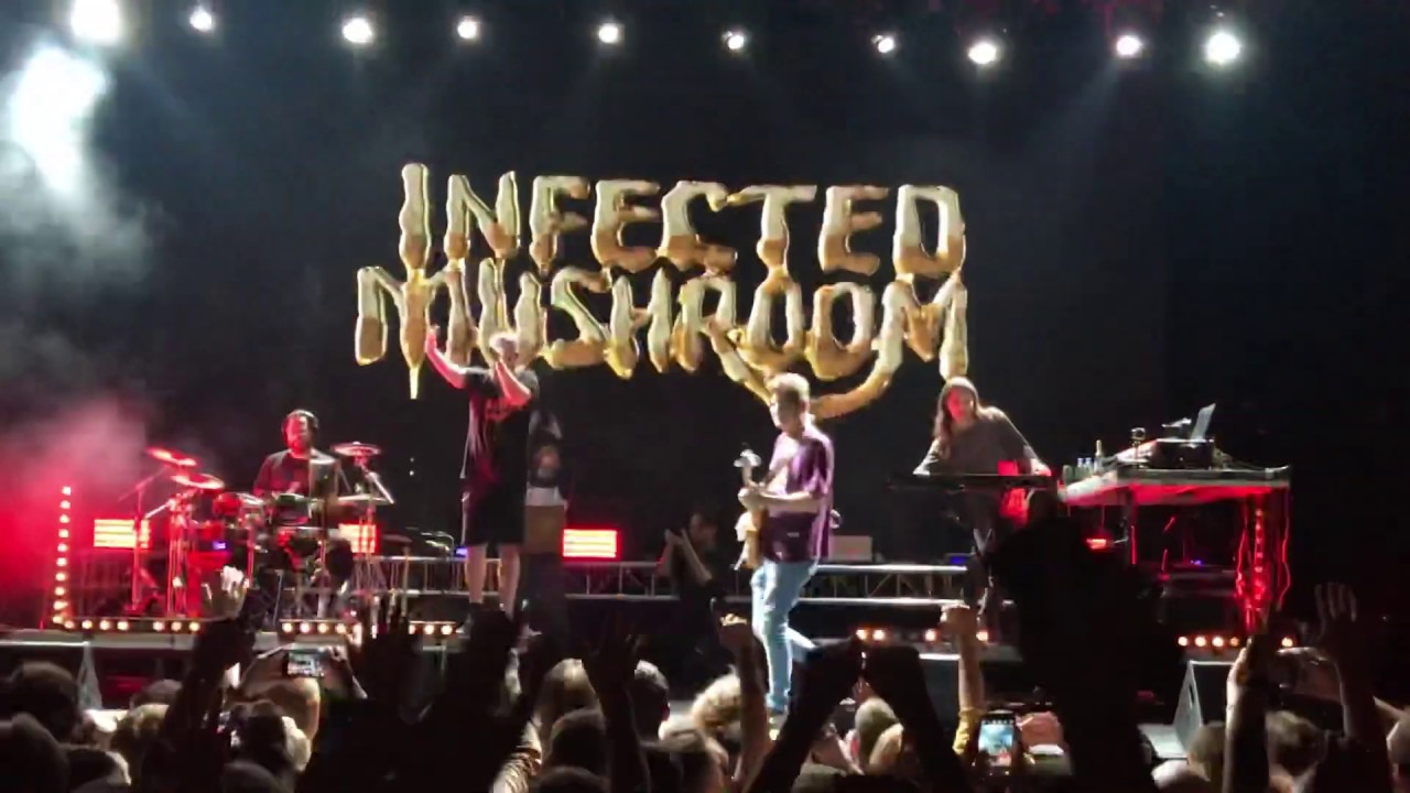 Infected Mushroom Becoming Insane LIVE p.3  (Moscow 27.06.2019)