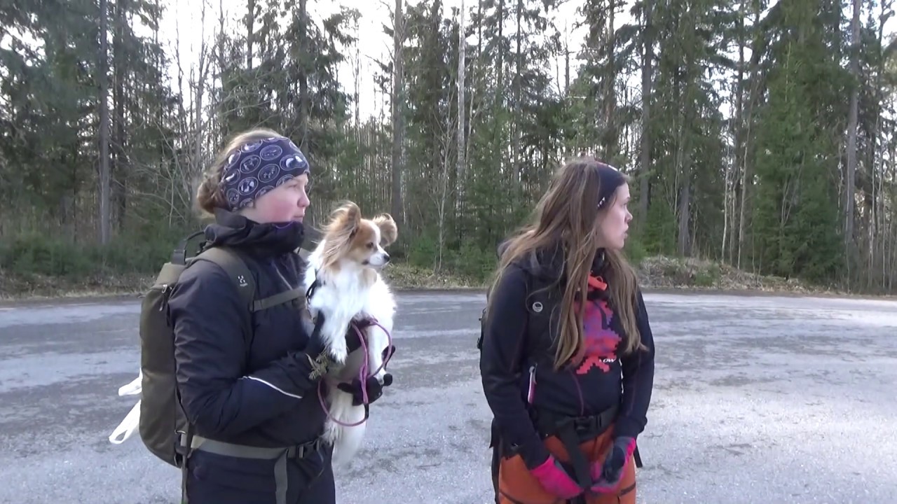 Luontoretki Kirkkoniitulle