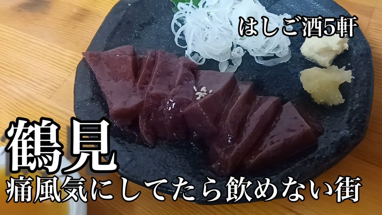 【鶴見グルメ】牛も鳥もレバーが美味い！ホッピーで逝くはしご酒5軒